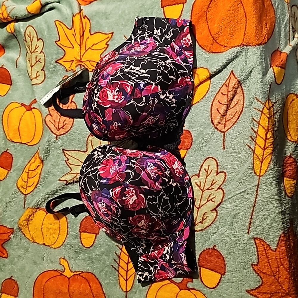 Torrid Bra